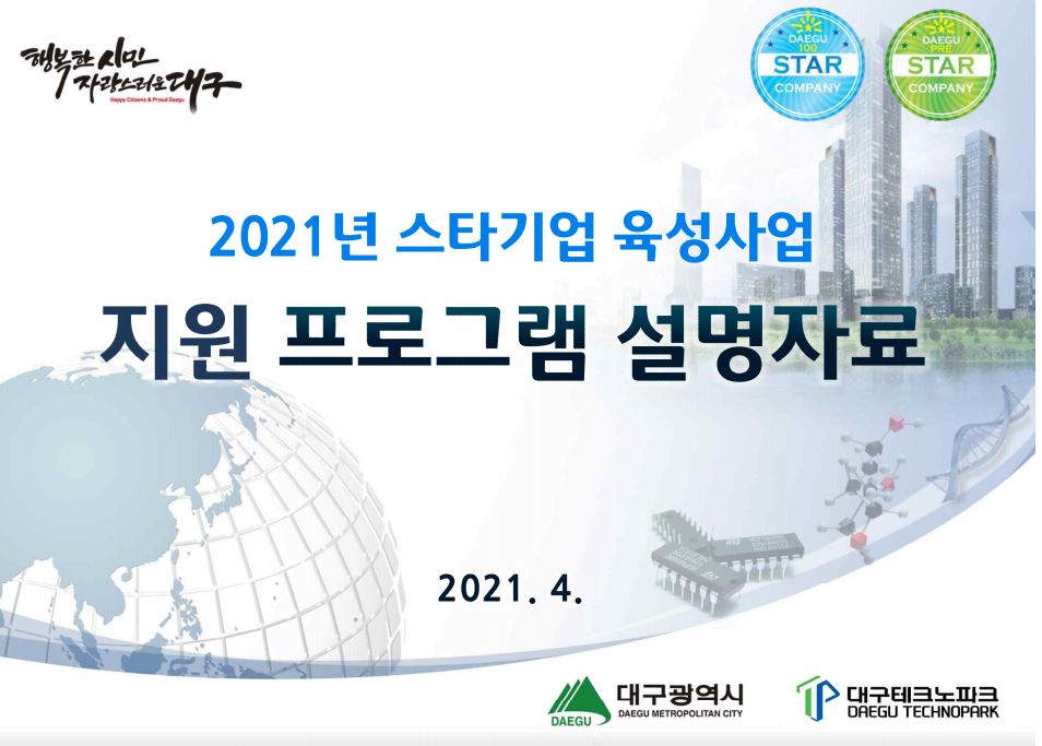 2021년 스타기업 육성사업 기업지원 프로그램 자료(새창)